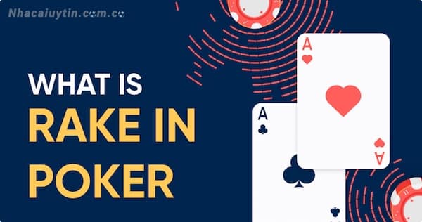 Khái niệm cơ bản về Rake trong Poker cần nắm