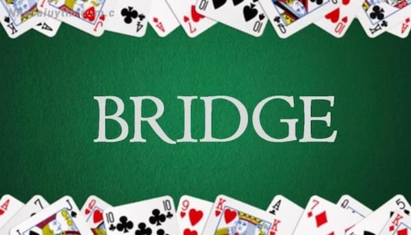 Trò chơi đánh bài bridge là gì?